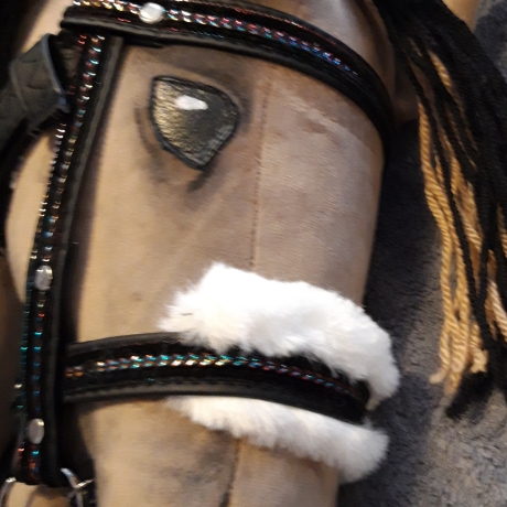 Hobbyhorse Trense und  Zubehör mit liebe zum Detail 
