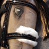Hobbyhorse Trense und  Zubehör mit liebe zum Detail 