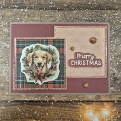 Weihnachtskarte mit Hund