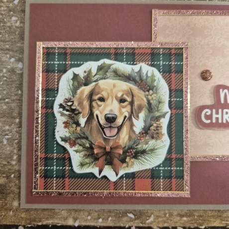 Weihnachtskarte mit Hund