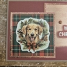Weihnachtskarte mit Hund