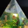 Epoxidharz Pyramide Delphin beleuchtet