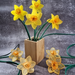 FSL FSA  Blumen Osterglocke Narzisse Frühling Ostern Sommer 10x10