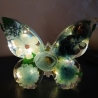 Epoxidharz Schmetterling beleuchtet