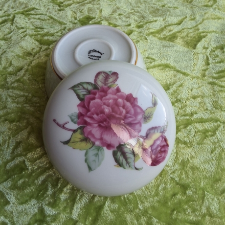 Klassische Schönheit ist zeitlos wie diese Pfingstrosen.