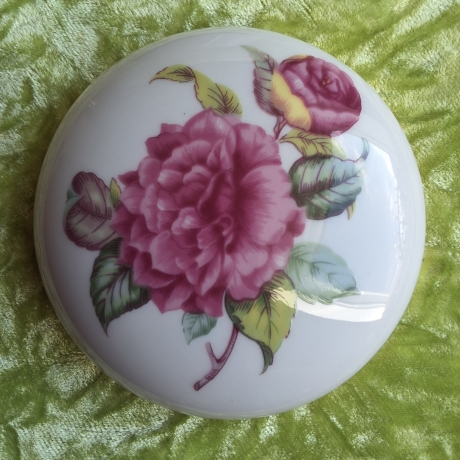 Klassische Schönheit ist zeitlos wie diese Pfingstrosen.