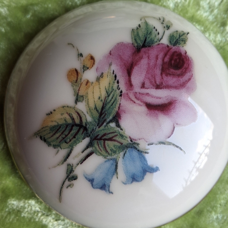 Zarte Blütenschönheiten auf Elfenbein - Rose mit Glockenblume.