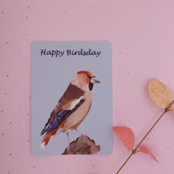 Postkarte mit Kernbeißer Happy Birdsday