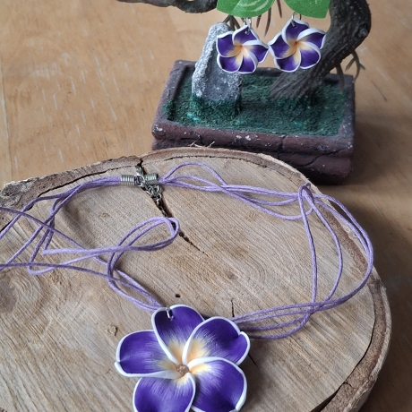 Kette und Ohrringe, Blume, lila