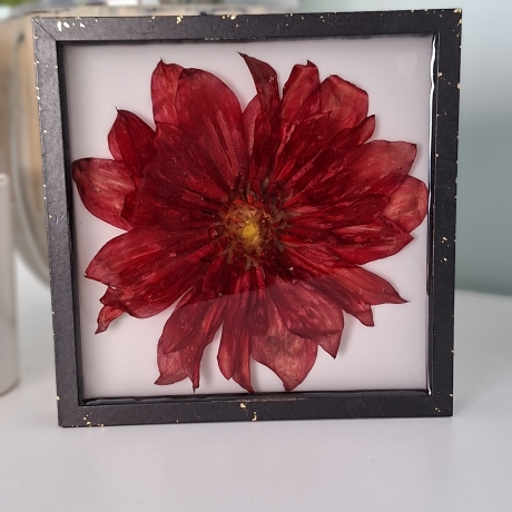 Bild 16x16 cm echte Dahlie in Epoxidharz