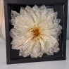 Bild 16x16 cm getrocknete Dahlie in Epoxidharz