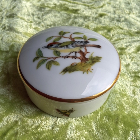 Das Sommergoldhähnchen - der geheime Gast in unserem Garten.