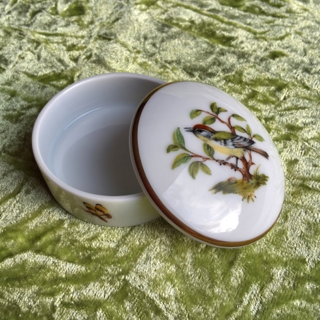 Das Sommergoldhähnchen - der geheime Gast in unserem Garten.