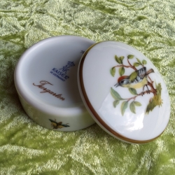 Das Sommergoldhähnchen - der geheime Gast in unserem Garten.