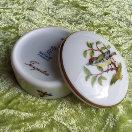 Das Sommergoldhähnchen - der geheime Gast in unserem Garten.