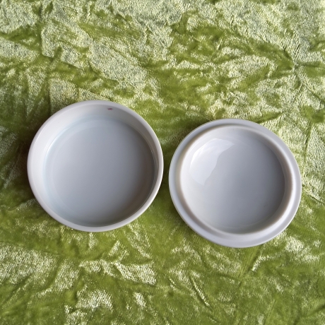 Das Sommergoldhähnchen - der geheime Gast in unserem Garten.