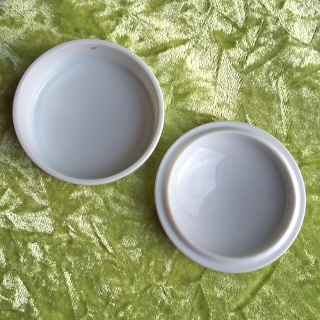 Das Sommergoldhähnchen - der geheime Gast in unserem Garten.