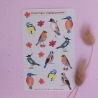 Stickerbogen Vogelgezwitscher