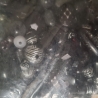 Perlen, Acryl-Perlen, schwarz/grau 
