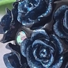 Perlen, Polymer, Strass