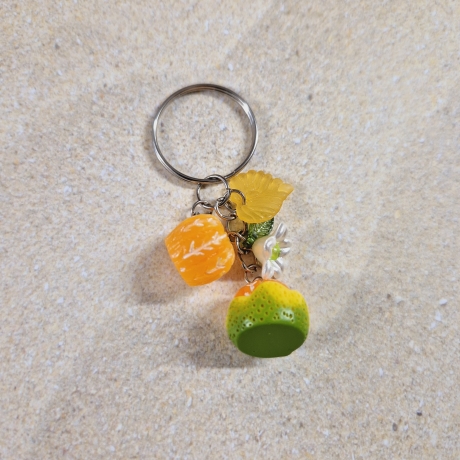 Schlüsselanhänger Orangen Geschenkidee 