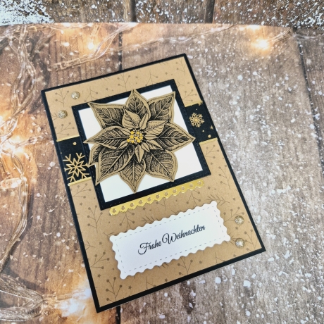 Weihnachtskarte Weihnachtsstern Blume Weihnachten