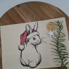Küchenhandtuch Geschirrtuch Hase Weihnachten 