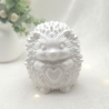 Niedlicher Igel mit Blumen-Stacheln