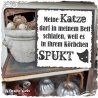 Holzschild-Shabby Meine Katze...