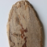 Treibholz Schwemmholz Driftwood  1 XL  Brett Regal  43 cm  