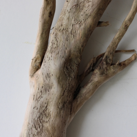 Treibholz Schwemmholz Driftwood 1 XXL Ast  Garderobe 112  cm  