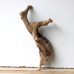 Treibholz Schwemmholz Driftwood 1 kleine Wurzel  Terrarium 27 cm