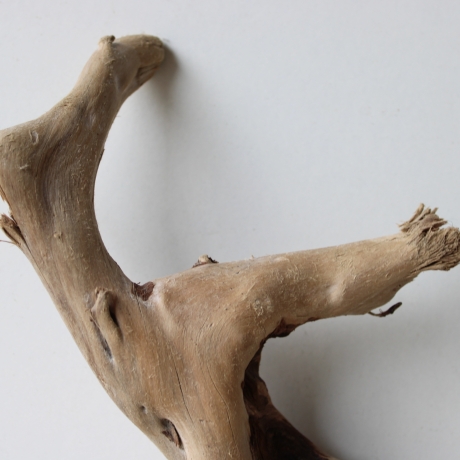 Treibholz Schwemmholz Driftwood 1 kleine Wurzel  Terrarium 27 cm