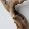 Treibholz Schwemmholz Driftwood 1 kleine Wurzel  Terrarium 27 cm