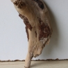 Treibholz Schwemmholz Driftwood 1 kleine Wurzel  Terrarium 27 cm