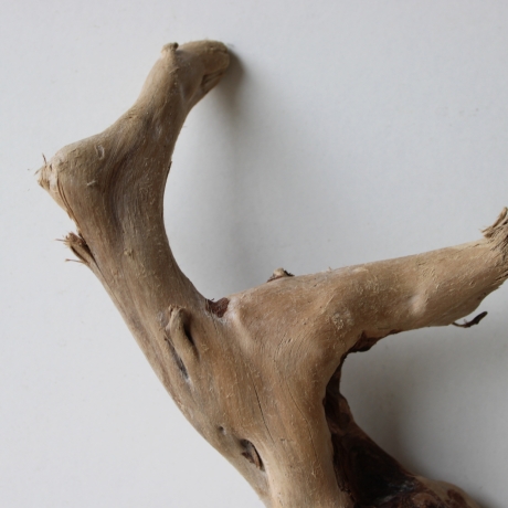 Treibholz Schwemmholz Driftwood 1 kleine Wurzel  Terrarium 27 cm