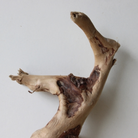 Treibholz Schwemmholz Driftwood 1 kleine Wurzel  Terrarium 27 cm