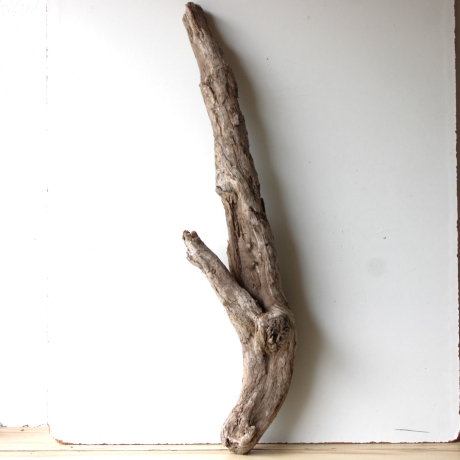 Treibholz Schwemmholz Driftwood 1  XXL Skulptur   107 cm 
