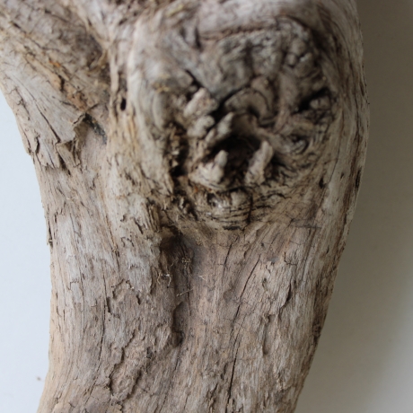 Treibholz Schwemmholz Driftwood 1  XXL Skulptur   107 cm 