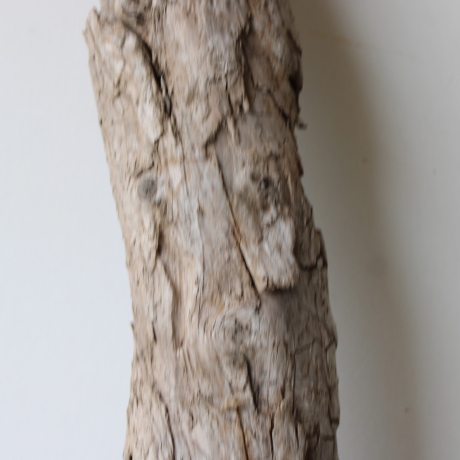 Treibholz Schwemmholz Driftwood 1  XXL Skulptur   107 cm 