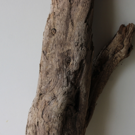 Treibholz Schwemmholz Driftwood 1  XXL Skulptur   107 cm 
