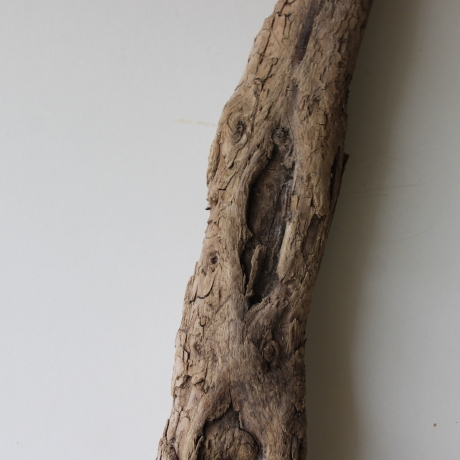Treibholz Schwemmholz Driftwood 1  XXL Skulptur   107 cm 
