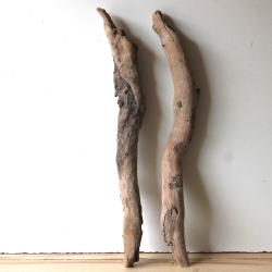 Treibholz Schwemmholz Driftwood 2 XL  Hölzer 65  cm 