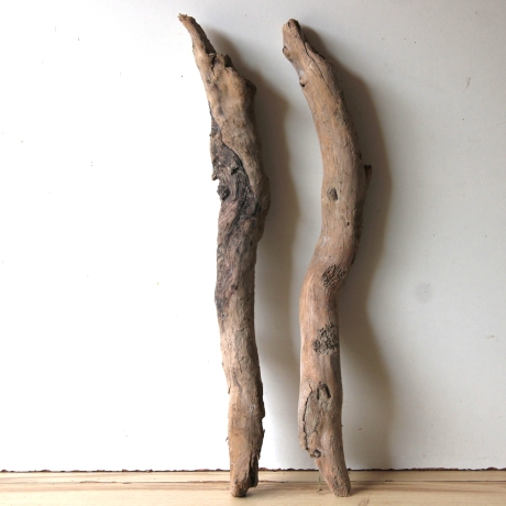 Treibholz Schwemmholz Driftwood 2 XL  Hölzer 65  cm 