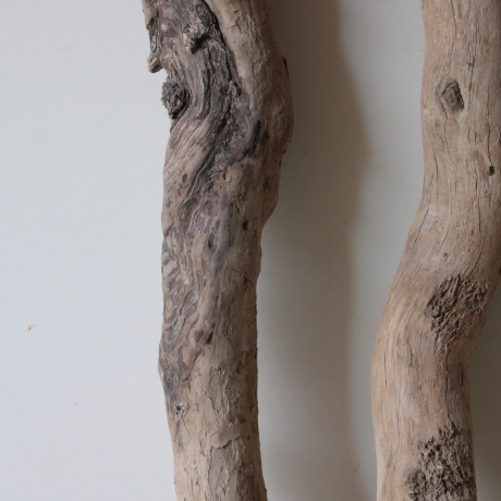 Treibholz Schwemmholz Driftwood 2 XL  Hölzer 65  cm 