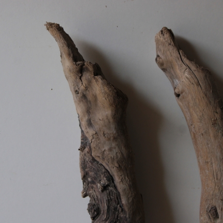 Treibholz Schwemmholz Driftwood 2 XL  Hölzer 65  cm 