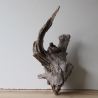 Treibholz Schwemmholz Driftwood 1 knorrige XL  Wurzel  57 cm 