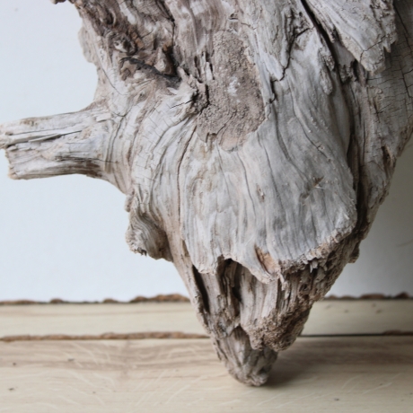 Treibholz Schwemmholz Driftwood 1 knorrige XL  Wurzel  57 cm 