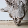 Treibholz Schwemmholz Driftwood 1 knorrige XL  Wurzel  57 cm 
