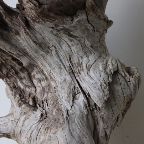 Treibholz Schwemmholz Driftwood 1 knorrige XL  Wurzel  57 cm 